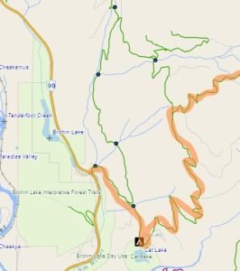 Map showing that the second left from Cat Lake is the correct road to take.